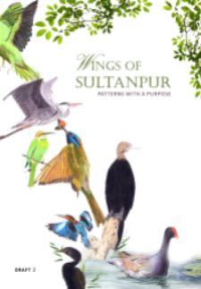 wings of sultanpur